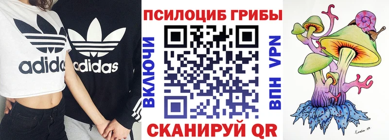 MEGA ссылки  Петровск-Забайкальский  Псилоцибиновые грибы Psilocybine cubensis 